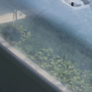 Pot de fleur moderne et durable, bon marché, bassins rectangulaires en plastique, bassins de plantation de légumes à faible arrosage automatique pour <span class=keywords><strong>jardin</strong></span> extérieur - Product Image 4