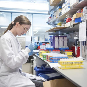 バルクオクラパウダー100% 野菜パウダー - Product Image 5