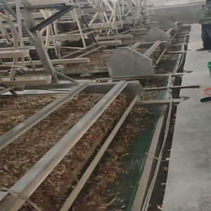 Endüstriyel a-tipi otomatik tavuk kümesi ev büyük katmanlı Broiler tavşan kafesi tavuklar döşeme için ucuz yeni durum çiftlik kaynağı - Product Image 4