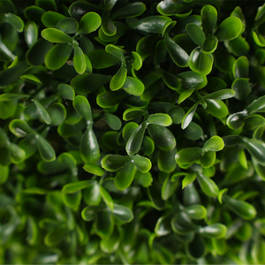 Panel de seto artificial de boj, material PE, 90 cm, resistente al agua y a los rayos UV, tapete, cuadrados para macetas, rollo en espiral, <span class=keywords><strong>Buxus</strong></span> sintético - Product Image 2