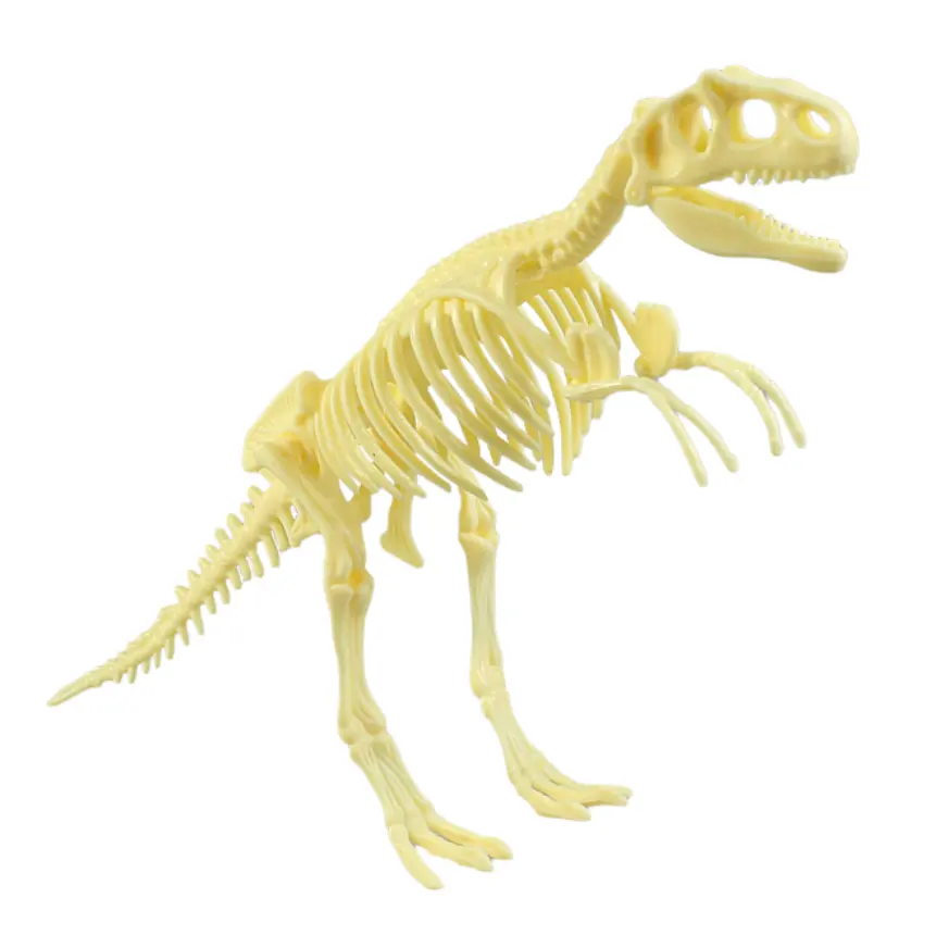 Dig kit Toys Educational Dinosaur DIY Toy Tyrannosaurus rex Excavation kit 3D Dinosaur Digging Fossil Kit Dig For Bones
