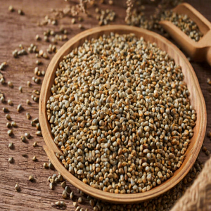 Exportation de bajra indien de qualité supérieure - Product Image 1