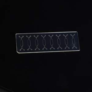 Chip Sensor Microfluídico para Equipos Industriales Personalizados con Mecanizado CNC, Material PMMA/Vidrio, Tamaños y Colores Personalizados - Product Image 3