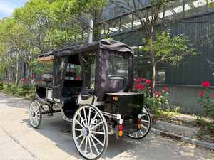 รถโค้ชไฟฟ้าเช่าสำหรับการท่องเที่ยวเชิงพาณิชย์สำหรับจัดแสดงนิทรรศการกลางแจ้ง - Product Image 6