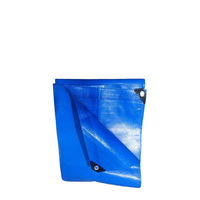 Bâche en PE non tissé XUDA de qualité supérieure, maille double bleue, super résistante, imperméable, résistante aux UV, personnalisable
