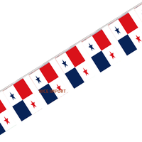 Guirlande de drapeaux pan-africains, mini-drapeaux, bannière de décoration pour l'école, les fêtes, la salle de classe, les événements sportifs