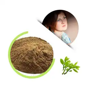 20% HPLC Natural Organic Green Tea Extract L-Theanine Powder Food Grade Solvent Extraction for Health Food Applications