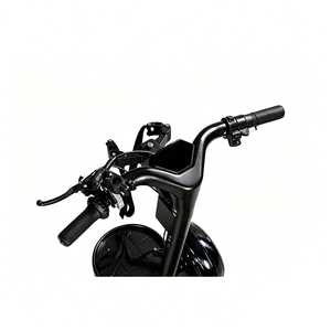 <span class=keywords><strong>Chariot</strong></span> de <span class=keywords><strong>golf</strong></span> électrique 2000W 48V LG20Ah Lithium 3 vitesses en aluminium, buggy de <span class=keywords><strong>golf</strong></span> autoporté OEM Chine - Product Image 3