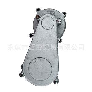 Petit scooter tout-terrain à quatre roues Little Apollo Little Lia T8F, assemblage de boîte de vitesses à chaîne à une seule vitesse, essence 50cc - Product Image 4