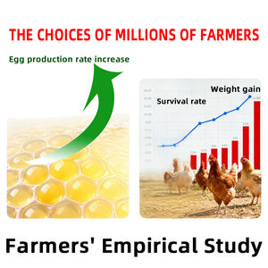 Chenyuan Weiling bubuk enzim peran cepat, untuk perawatan infeksi campuran bakteri & virus kelas pakan hewan unggas - Product Image 4