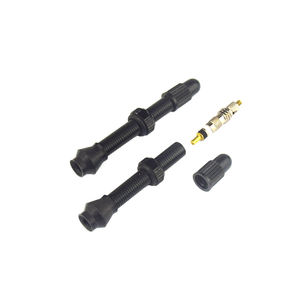 <span class=keywords><strong>Valve</strong></span> de <span class=keywords><strong>pneu</strong></span> <span class=keywords><strong>tubeless</strong></span> pour vélo de <span class=keywords><strong>route</strong></span> et VTT, nouvelle conception de logo DIY, <span class=keywords><strong>Valve</strong></span> Presta, <span class=keywords><strong>Valve</strong></span> solide, <span class=keywords><strong>Valve</strong></span> de vélo sans chambre à air - Product Image 2