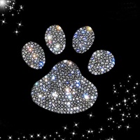 Logo personnalisé transfert de chaleur motifs en fer bling sur patchs modèle transfert de feuille motif conception presse à chaud transfert de strass