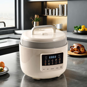 5L haute température haute pression affichage LED autocuiseur électrique faible teneur en sucre en aluminium Pot en acier inoxydable maison voiture utilisation - Product Image 3