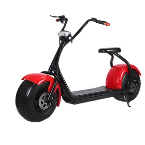 Hot sale EEC APPROVED 60V1000W good quality Off Road Electrical Scooter 2 wheels electric scooter tricycles