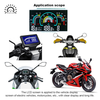 Pantalla LCD Segmentada VA de Alto Contraste para Motocicleta, Panel de Velocímetro Digital Multicolor, OEM ODM