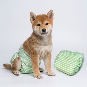 Wholesale Disposable Pet Female Diaper Disposable Pet Diaper with Fast Absorption and Leak-Proof Design <b>Nappy</b> ODM OEM - Product Image 1