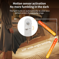 Bande lumineuse LED néon à activation par mouvement, alimentée par batterie 5V, flexible, pour escaliers, placards, armoires, décoration intérieure