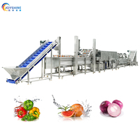 Commerciële salade sorteer-, was-, snij- en groente- en fruitwasmachine/groente- en fruitverwerkingslijn