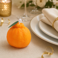 Boîte cadeau de bougies parfumées en forme de fruits, cadeau de fête, bougie décorative orange et kaki