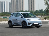 Оптовая продажа: Новинка 2025 года – Электрический кроссовер BYD Seagull с запасом хода 305 км, литий-железо-фосфатная батарея, 55 кВт