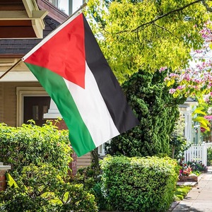 New Arrival Jumbo Size Flags Wholesale 90x150cm 3x5 ft Polyester Double Sided Flag Custom Print Hanging National Flag Palestine