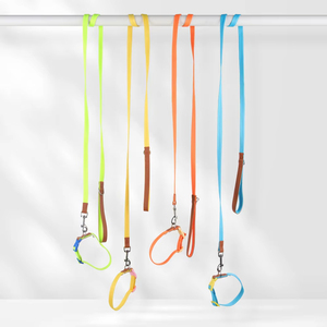 Set Kalung dan Tali Anjing Modern Mewah untuk Anjing Kecil dan Sedang, Aksesori Pelatihan Hewan Peliharaan, Ringan, Bahan Poliester, Tahan Lama, dan Menarik Perhatian - Product Image 2