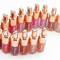 Fard à joues liquide végétalien sans logo, longue tenue, soyeux, hydratant, fini naturel, anti-bavures, haute pigmentation, 18 couleurs