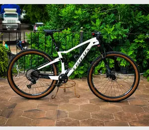 TRIFOX fabrika fiyat toptan MFM100 tam karbon 29er süspansiyon 29 "MTB XC dağ bisiklet iskeleti