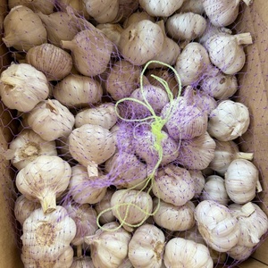 Ajo Fresco de Origen Chino a Precio de Mayoreo, Proveedores de Ajo de Alta Calidad, Empaquetado en Bolsa de Malla de 10 kg - Product Image 2