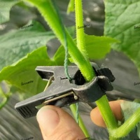 Pinces de fixation pour plantes suspendues de jardin (concombres et tomates), pinces de maintien pour vignes, clips de fixation en plastique pour légumes de serre - Vente en gros