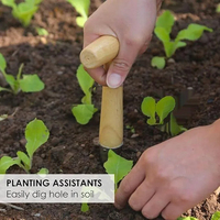 Nouvelle Conception Légère : Planteur de Bulbes et Transplanteur de Fleurs à Petite Échelle pour Jardin