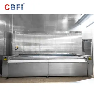 500 kg/h Congelador de túnel comercial IQF Máquina de congelación rápida