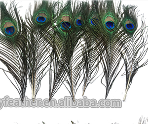 Plumes De Paon Naturelles - 20 Pièces - Longueur 25 Cm - Couleurs Vives Primaires - Pour Décoration Vase, Fête, Costume, Craft - Tenace Et Réutilisable