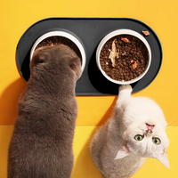 Bols en céramique écologiques de haute qualité pour animaux de compagnie, aspirateur à double paroi, logo personnalisé pour chats et chiens