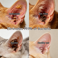 Appareil de thérapie auriculaire à l'ozone portable BLUEWORTH VOE-01 pour chiens et chats, traitement des infections d'acariens auriculaires et de l'otite, sortie d'ozone de 50 mg/h, clair