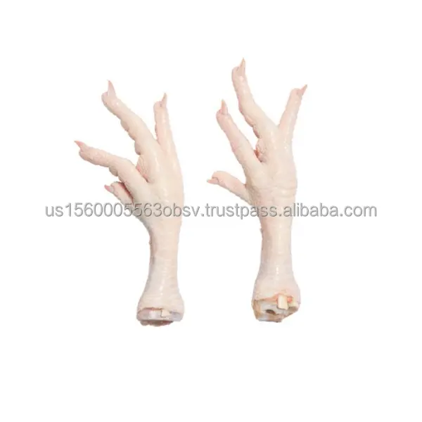 Chicken feet for Chinese market Competitive chicken feet prices