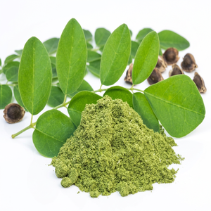 El polvo de hoja de Moringa oleifera más vendido fabricado por Gingerly Naturals India, el mejor producto agrícola - Product Image 1