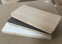 Taille personnalisée 12mm 15mm 16mm 18mm Contreplaqué blanc résistant au feu à face stratifiée en grain de bois