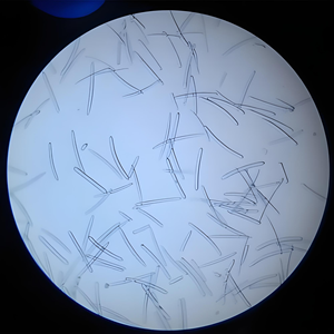 Éponge à spicules <span class=keywords><strong>bio</strong></span> pour microneedling, très vendue, 98%99% poudre de spicules d'éponge - Product Image 4