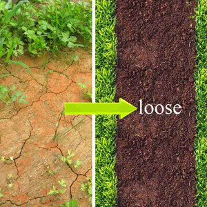 ปุ๋ยไนโตรออร์แกนิก กรดฮิวมิก ปุ๋ยฮิวเมตผสมชนิดผง - Product Image 3