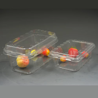 Hotelbestelling: Wegwerp plastic voedselcontainer voor vers fruit met deksel, biologisch afbreekbare schaal, plastic fruitcontainer