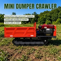 Mini-dumper agricole sur chenilles à vendre, avec benne basculante en bois, pour utilisation avec des brouettes, équipement et accessoires de machinerie