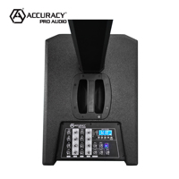 ACC AC39 – moniteur professionnel en bois noir, amplificateurs BT, subwoofer en plein air, fête karaoké dj actif pa colonne haut-parleur
