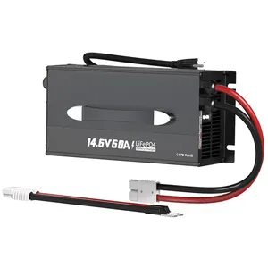 2X10A Dual output 14.6V 20A Lithium Battery Charger for 12V LiFePO4 Lithium Battery with LED Indicator and ON/Off Switch