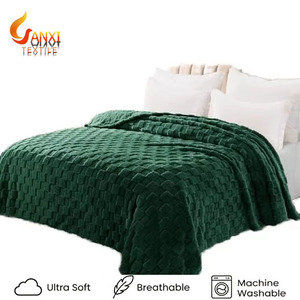 Flannel Fleece Knitted 100% Polyester Embroidered Blanket Super Cozy Warm Lightweight Anti Dust Mite <strong>Cute</strong> for Women Home <strong>Bedding</strong> - Product Image 1