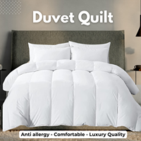 Couette pleine grandeur à impression personnalisée en microfibre rembourrée couette pour l'hiver vente en gros