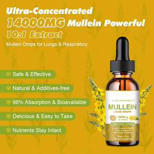 WELLBODY OEM Private Label <span class=keywords><strong>Mullein</strong></span> Extracto de hoja Gotas Líquido de absorción rápida <span class=keywords><strong>Mullein</strong></span> Drop - Product Image 4