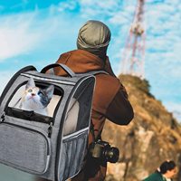 Livraison rapide chat transporteur sac à dos pince de sécurité extensible transporteur pour animaux de compagnie pour la randonnée voyage Camping fermeture éclair gain de place pour les chiens