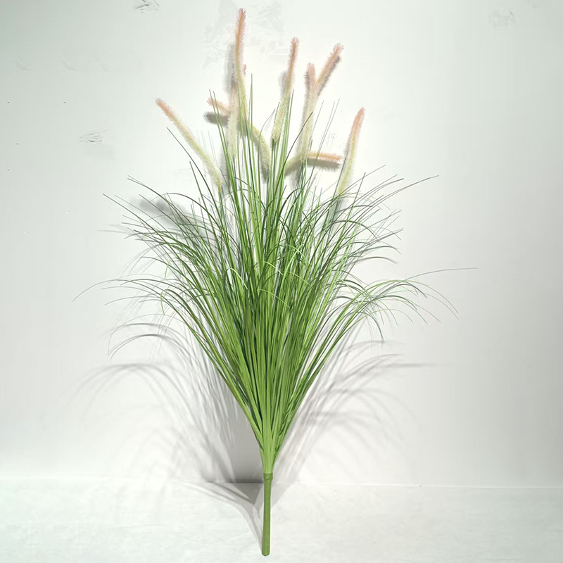 ใบไม้สีเขียวและปลายสีแดงของต้นด็อกเทล