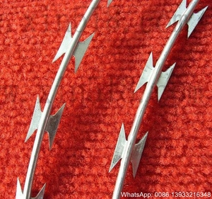 Fil Barbelé de rasoir <span class=keywords><strong>Concertina</strong></span>/Fil Honnête Pour Les Enfants Et Les Personnes Âgées/Fabricant Depuis 1990 - Product Image 6